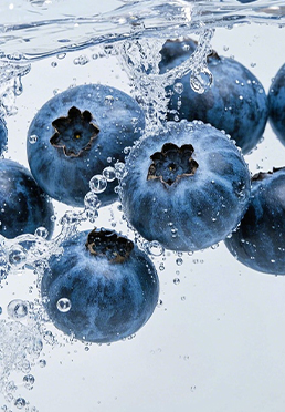 Tasmanian Blueberry Extract